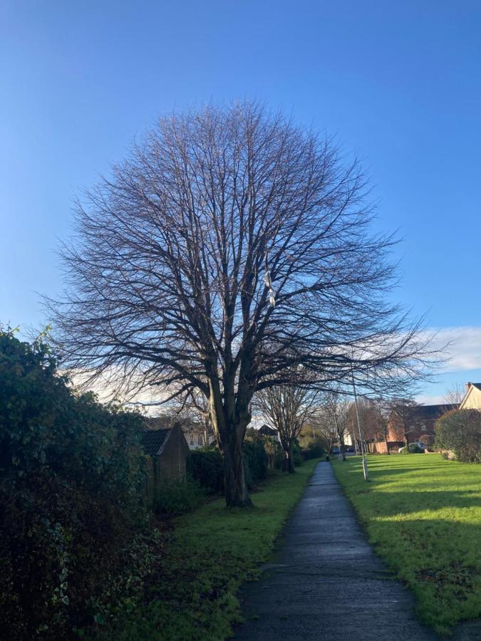 Entire Terraced Two Story Redbrick House With Parking In Secluded Cul De Sac Villa Dublin Eksteriør bilde